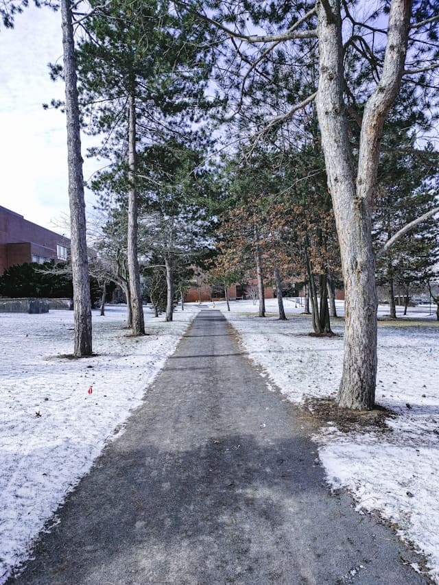 Snow removal service